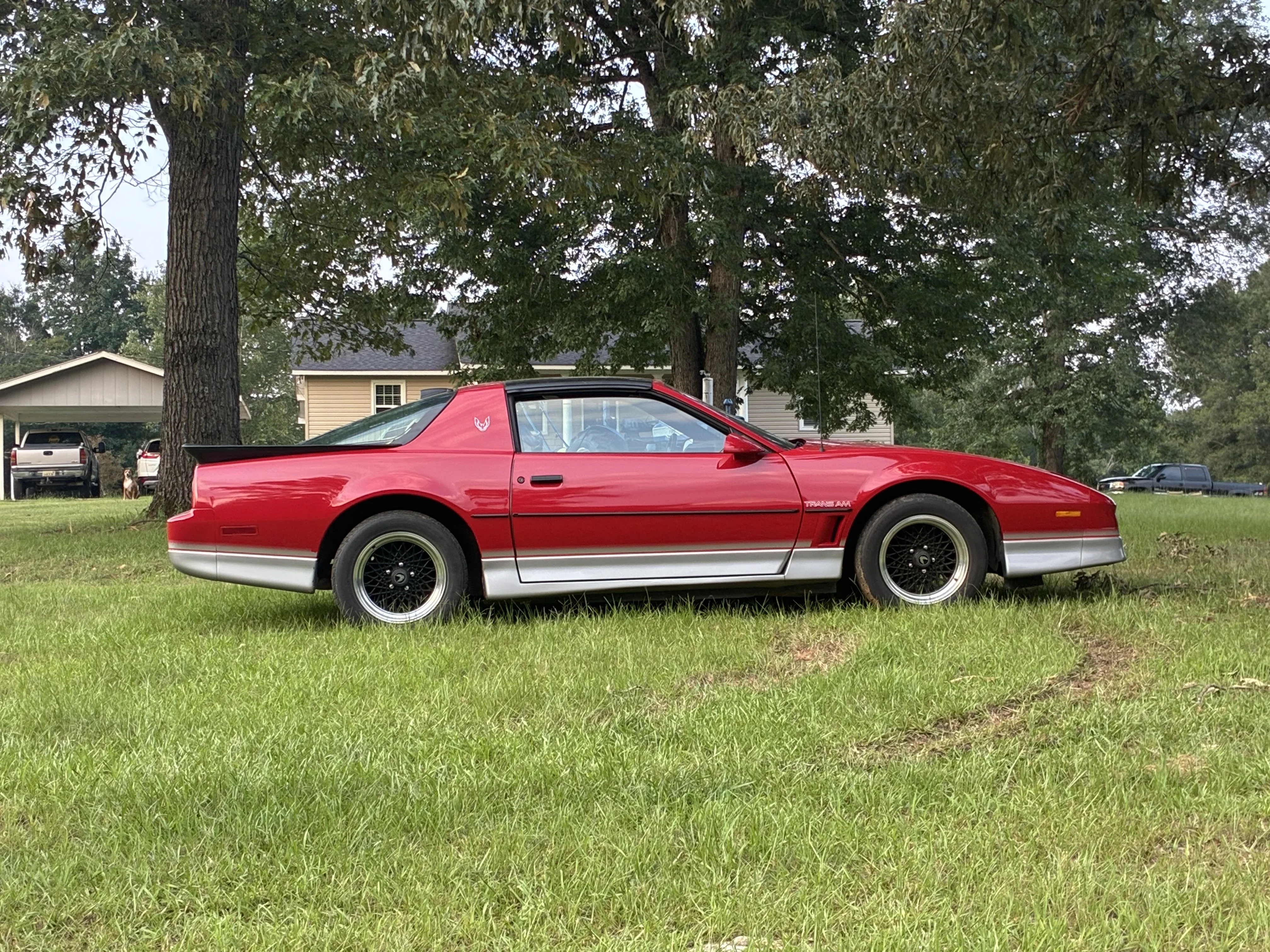Pontiac-Firebird-1986-Red-Gray