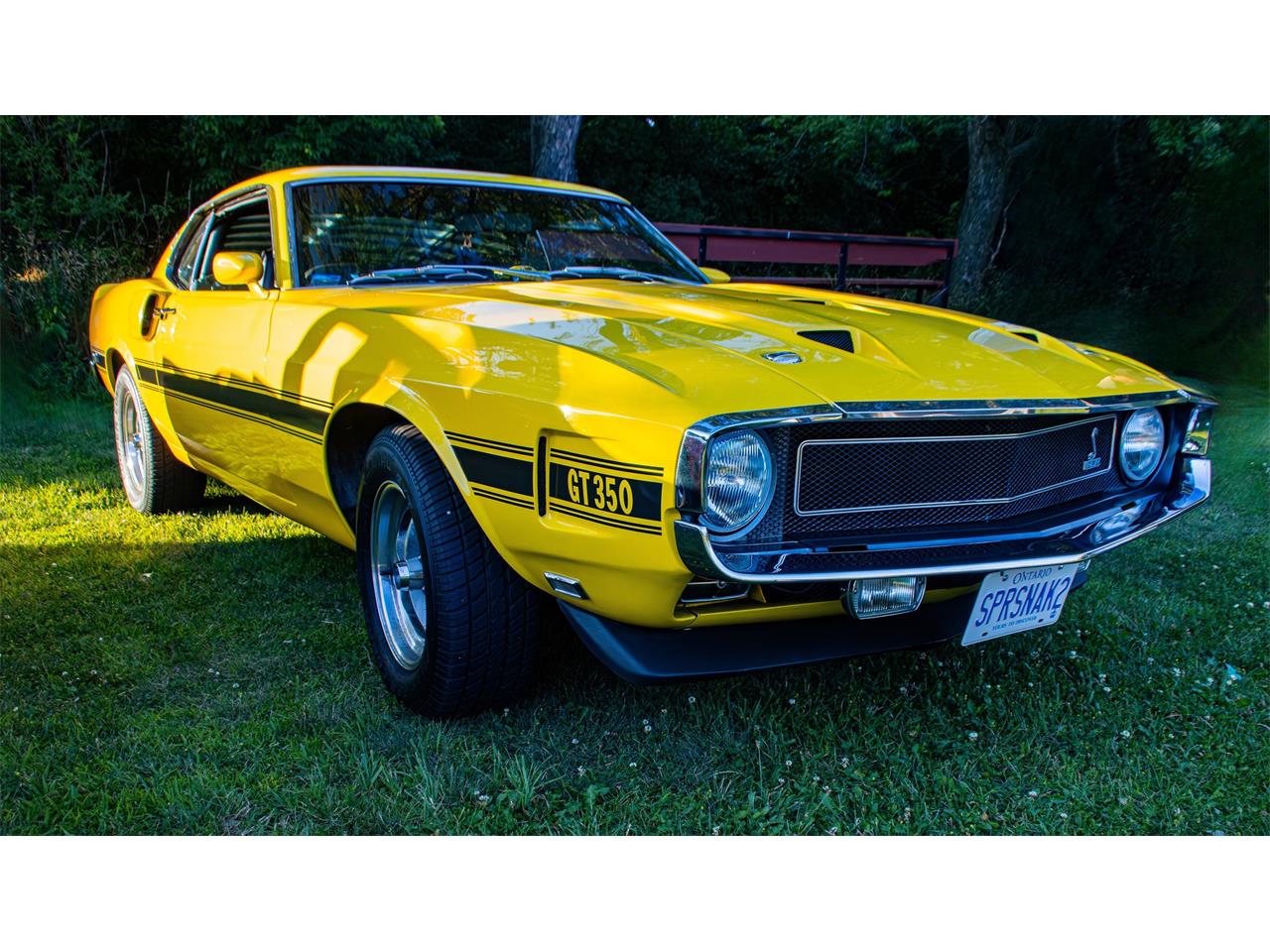 Shelby-Gt350-1969-Grabber-Yellow-Black