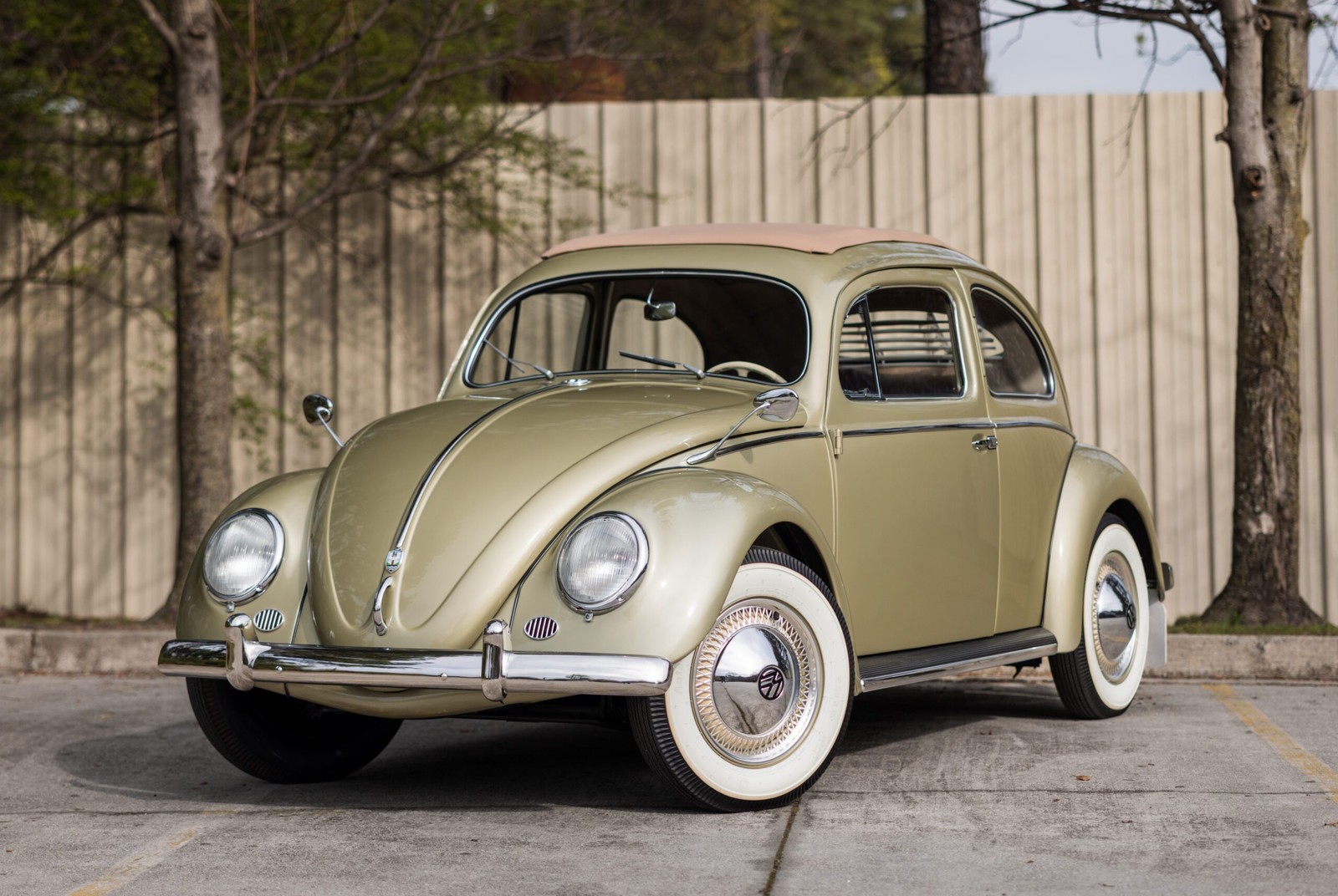 Volkswagen Beetle 1955