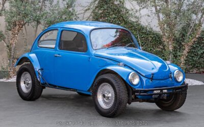 Volkswagen Beetle Baja Bug 1969