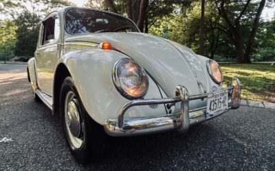 Volkswagen Beetle - Classic 1966