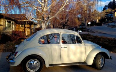 Volkswagen Beetle - Classic 1969
