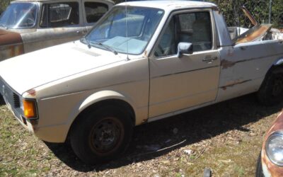 Volkswagen Rabbit 1981