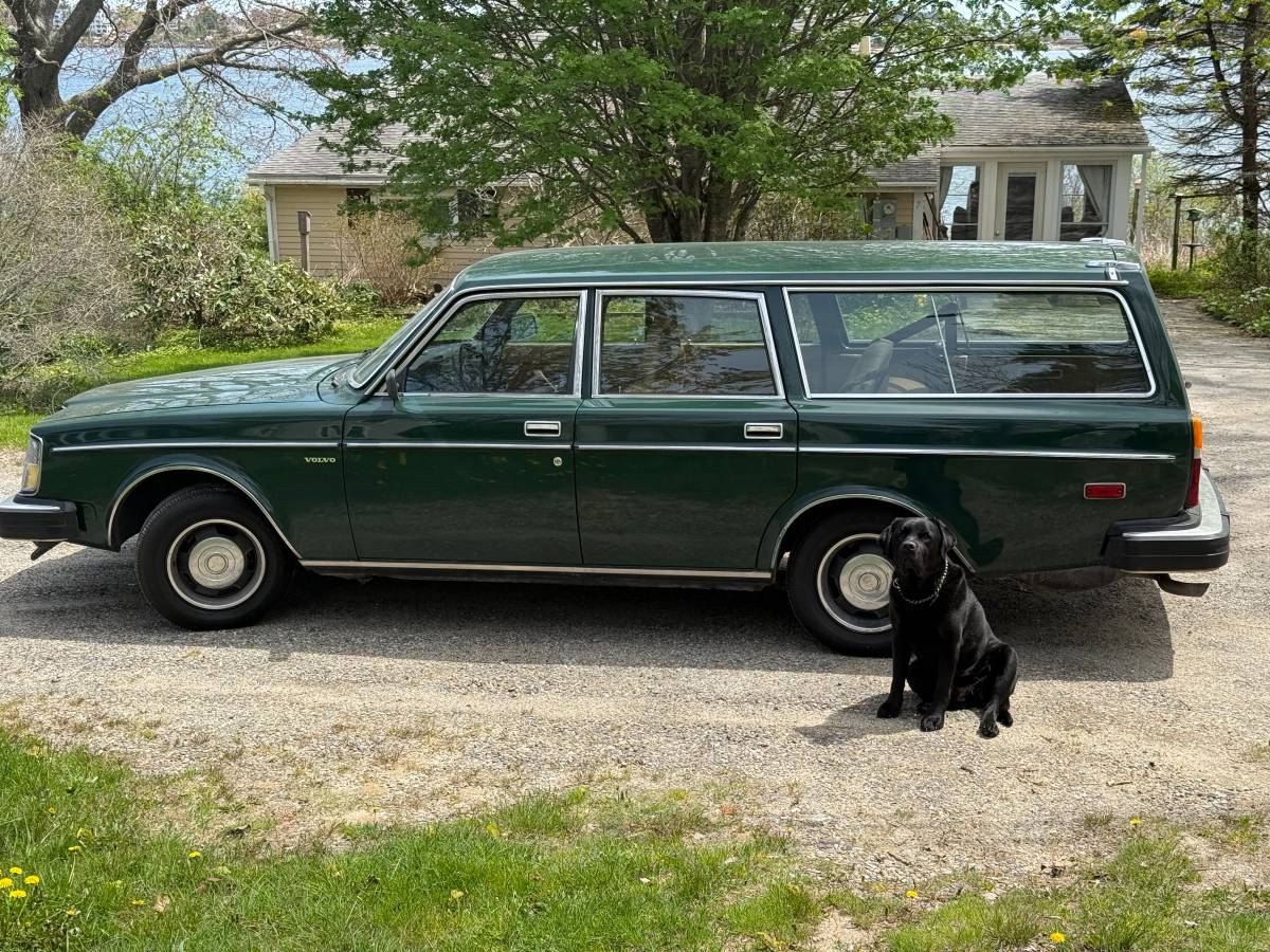 Volvo-240-1980-Green